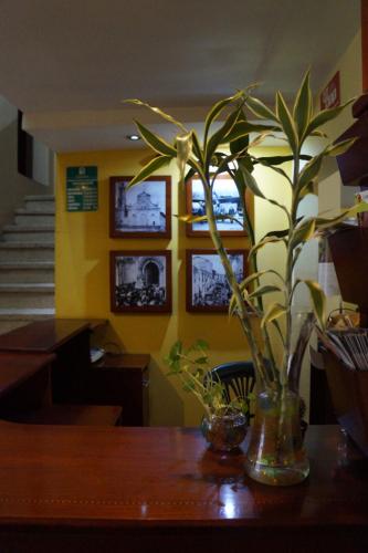 Hostal Pucará, Loja (fotografie 11)