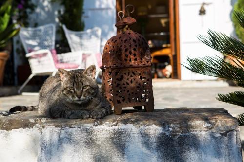 Boutique Hotel en Granada: La Almunia del Valle