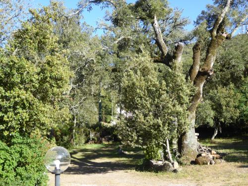 Casa Solotti - image 5