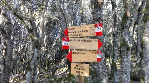 Casa Solotti - image 14