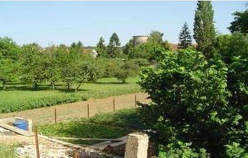 景觀, 高坡之夜果園酒店 (Le Verger des Hautes-Cotes de Nuits) in 維萊爾拉費埃 