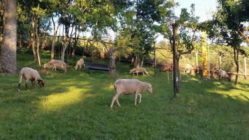 Agriturismo La Ginestra