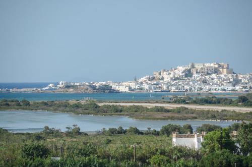 Naxian spirit