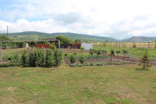 Pillangó Vendégház - main image