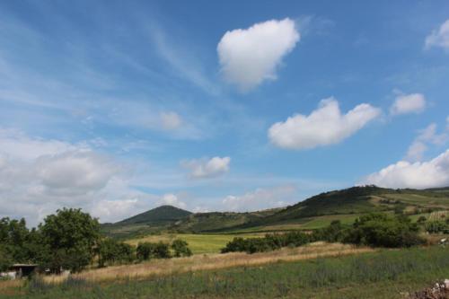 Pillangó Vendégház - image 10