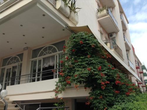 Hotel Saponi - image 10