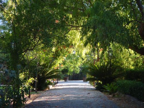 Finca Cas Sant - image 13