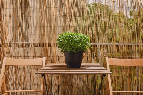 Modern and Cozy Apartment in the centre of Athens, Atény (fotografie 9)