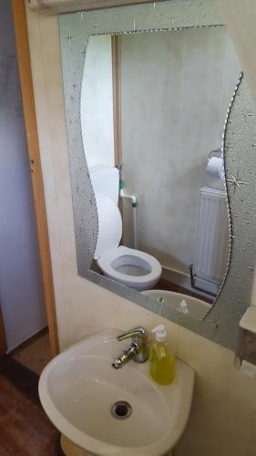 Pensiunea Micutul Vrajitor - image 11