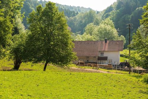 "Natur pur" Refugium für Mensch und Tier