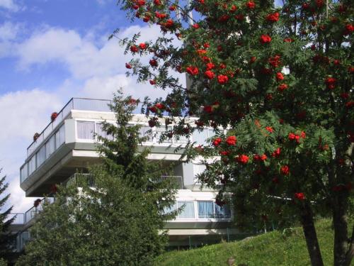 Res. Marilleva 1400 Apt.Solandra Folgarida