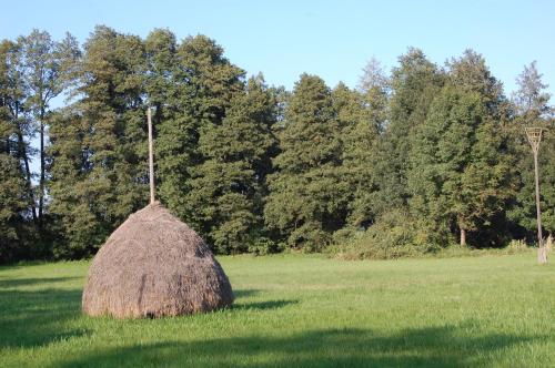 Spreewaldhotel zur Seerose
