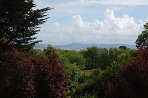 منظر, Ardtarmon House in Sligo City Center