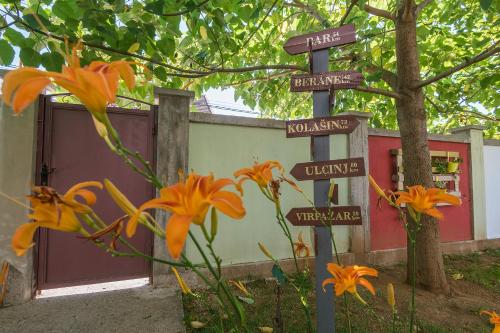Hostel Q - image 13