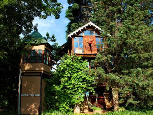 Sycamore Avenue Treehouses & Cottages Accommodation