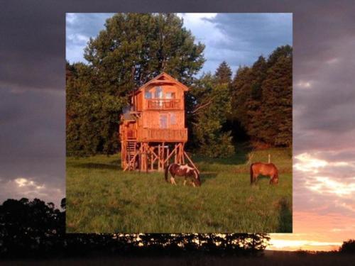 Sycamore Avenue Treehouses & Cottages Accommodation