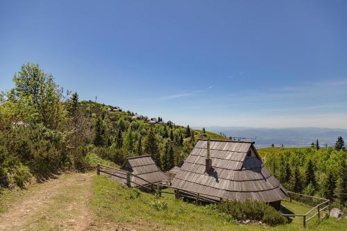 Chalet Zlatica Velika Planina - image 3