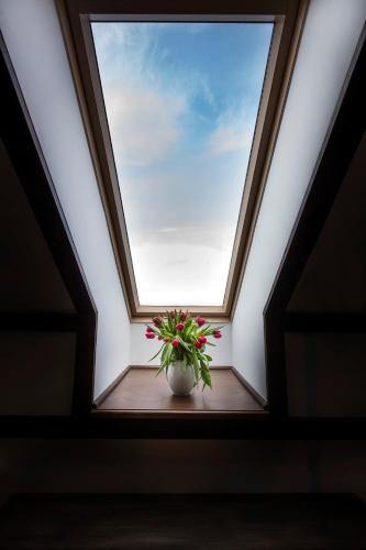 外部景觀, Casa Din Bran - Inn Center in 布蘭