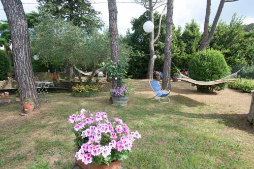 Fiorenza B&B, Florencie (fotografie 7)