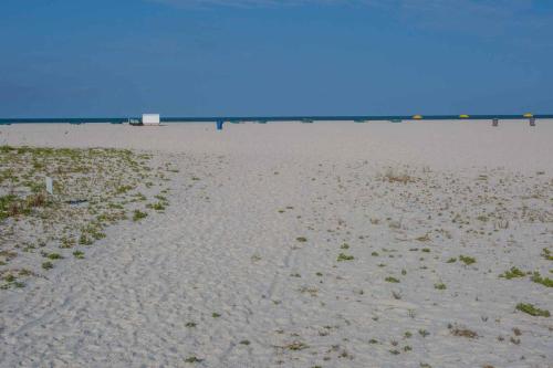 3 Seahorse Cottages In Fl