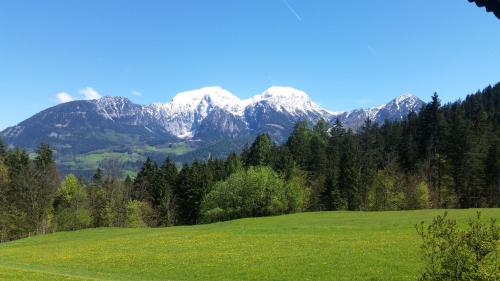 Pension Hochödlehen - main image