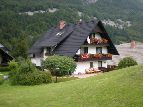 APARTMAJI VESNA - Apartment - Bohinj