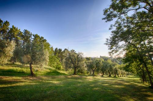 Podere Sant'Antonio