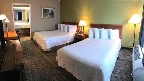 Basic Double Room