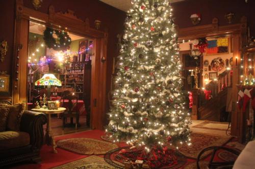 Riverview Mansion Hotel - image 5