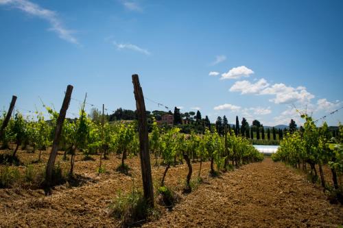 Agriturismo L'isola