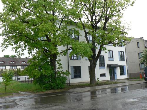 Raua 15 Apartment