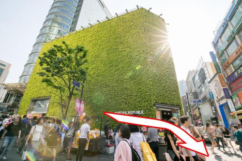 필스테이 명동스테이션 사진 7