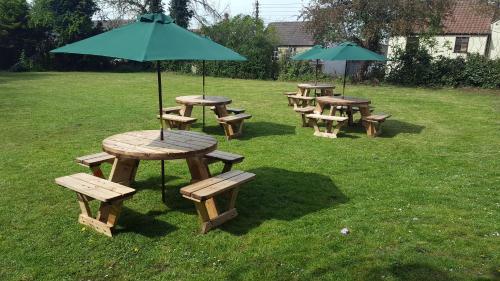 The Dog Inn - image 6