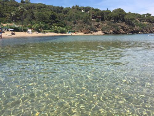 Suosogno sul mare - main image