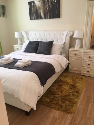 Charimore Executive Apartment, Londra (foto 5)