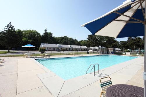泳池, 海侖汽車旅館 (Hyland Motor Inn) in 美海角庭 (NJ)