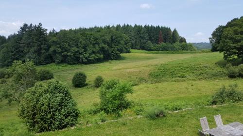 Deluxe Doppel-/Zweibettzimmer mit Bergblick