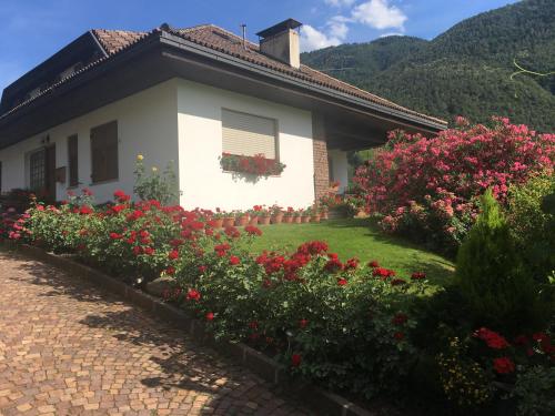 Weingut Zundlhof 5