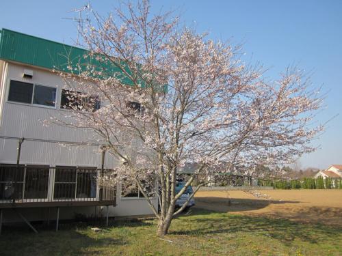 Narita Airport Hostel - Accommodation - Shibayama