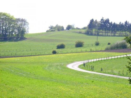 Ferienwohnung-Freuen