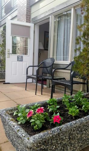 Standard Queen Room with Pool Access