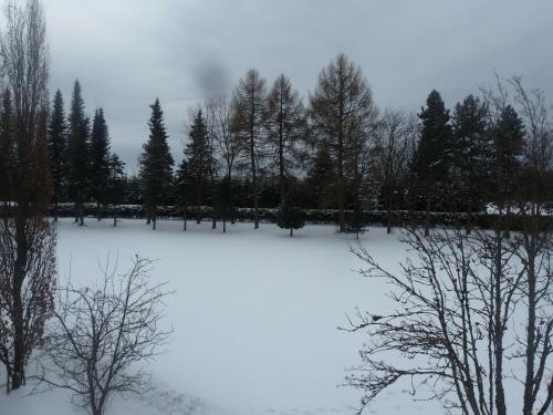 Appartement-Oberwiesenhof 2.3km von Huzenbach entfernt