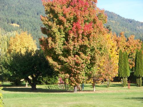 Hotelli välisilme, Bavarian Orchard Motel in Erickson (BC)