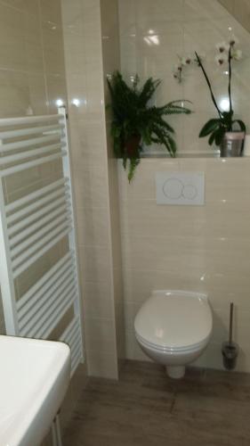 Ferienwohnung 2 Im Haus Wildfang In Germany