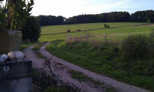Ferienwohnungen-Willrich-Ferienwohnung-3 5.4km von Ohlenhard entfernt