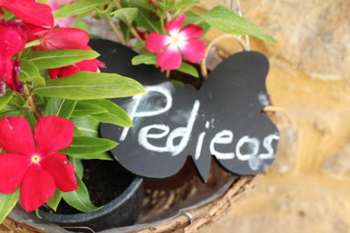 Pedieos Guest House - image 5