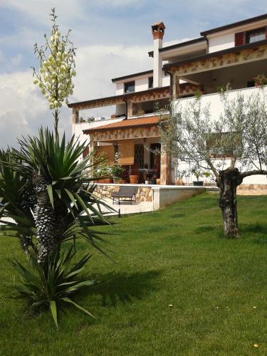 Dārzs, Villa Kimberly in Rovinjsko Selo