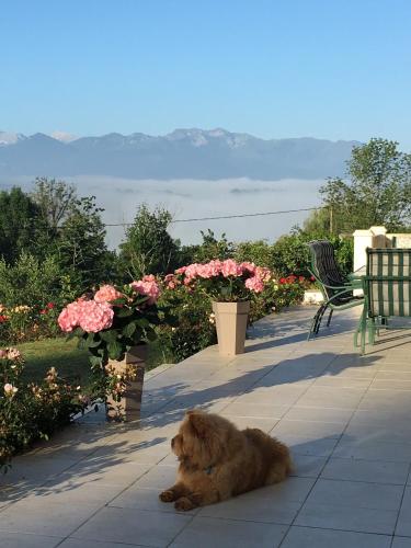 Beth Soureilh Adults Only