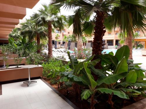 Oasis Palm Hotel