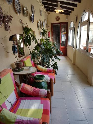 Turó de L Home 3